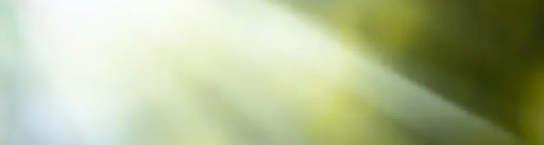 in schwierigen Lebensphasen sonnenschein grün golden